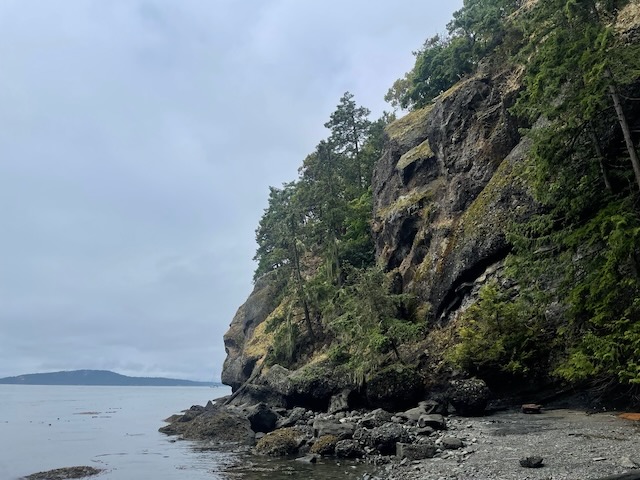 I peed behind that rock!