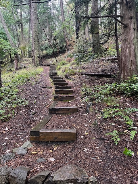 I never went up these, but i'm sure the view was lovely.
