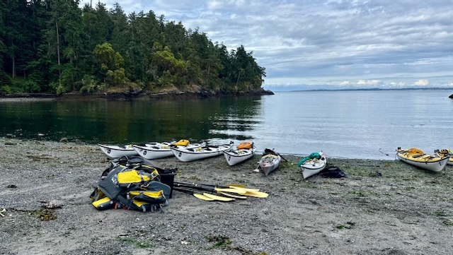 Six kayaks, no waiting!